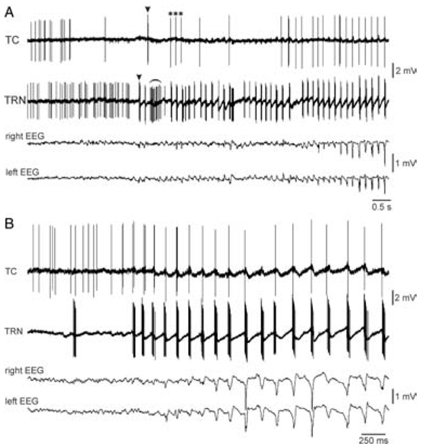 Fig. 14