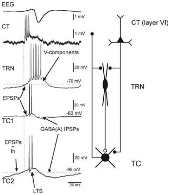 Fig. 10