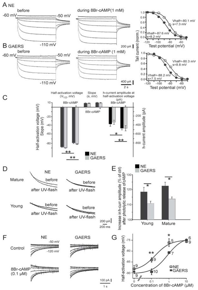 Fig. 12