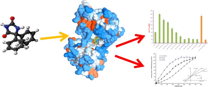 Graphical abstract