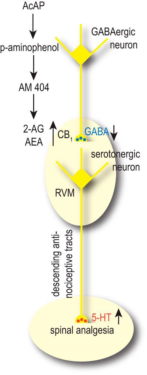 Figure 9.