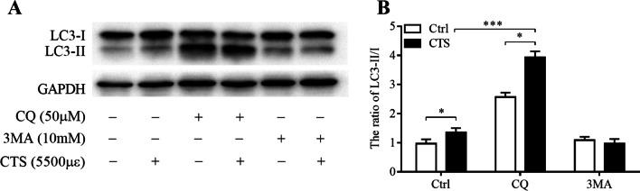 Fig. 5