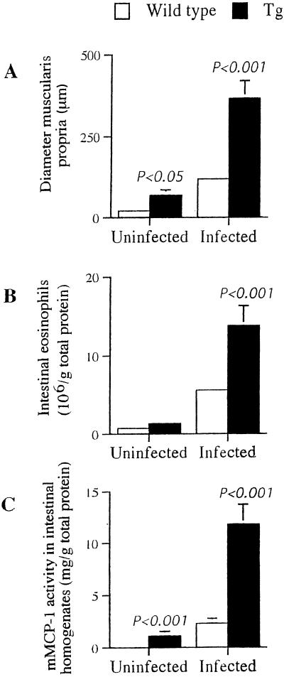 FIG. 5