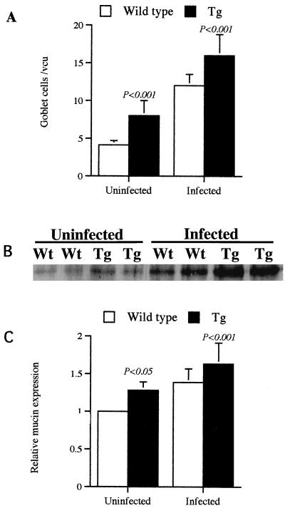 FIG. 6