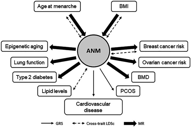 FIGURE 3