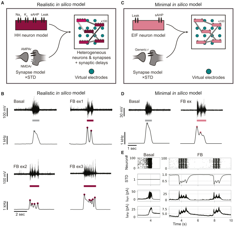 Figure 2