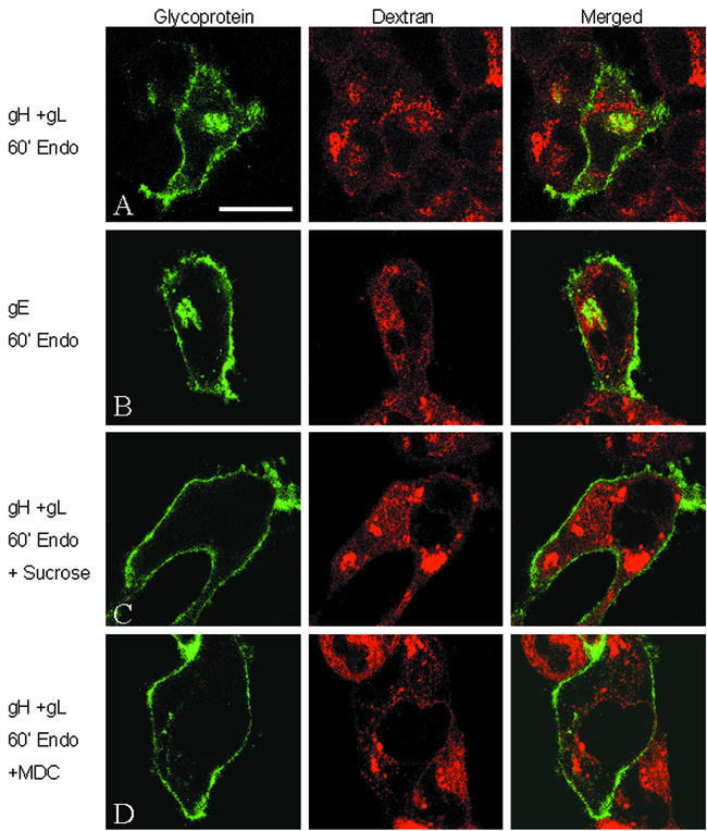 FIG. 4.