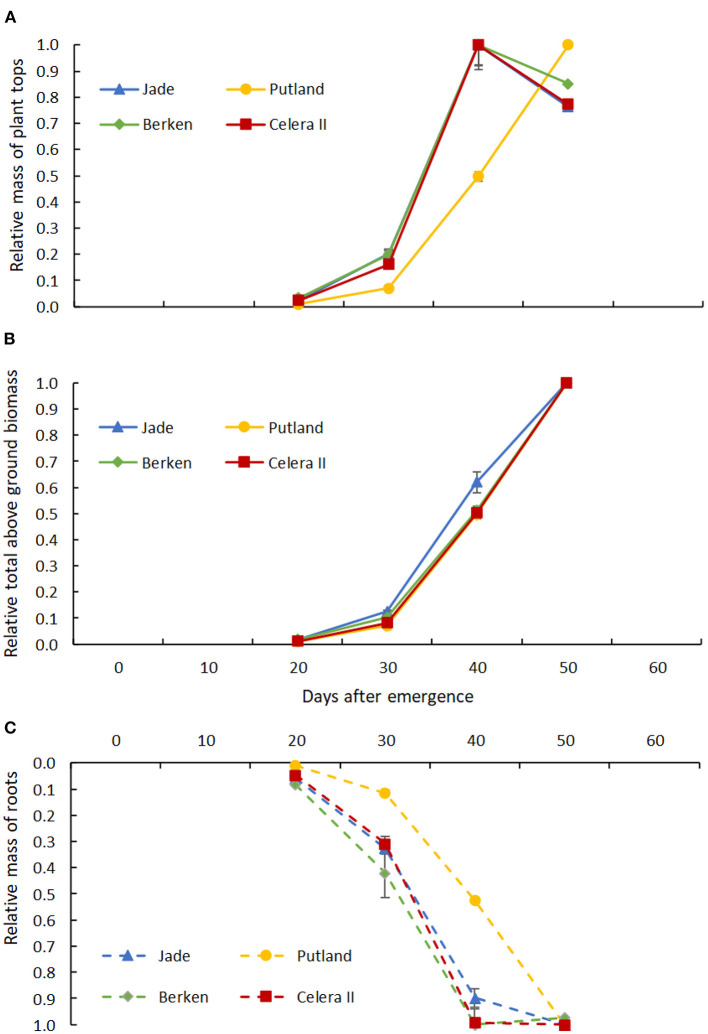 Figure 6