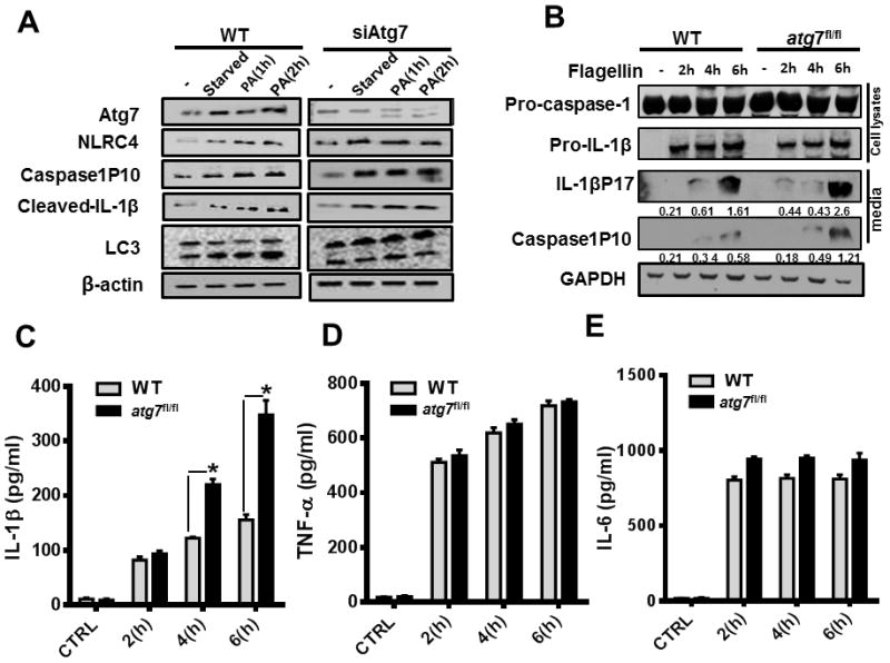 Figure 6