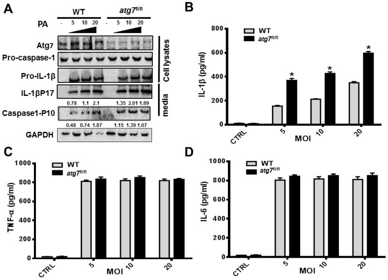 FIGURE 4