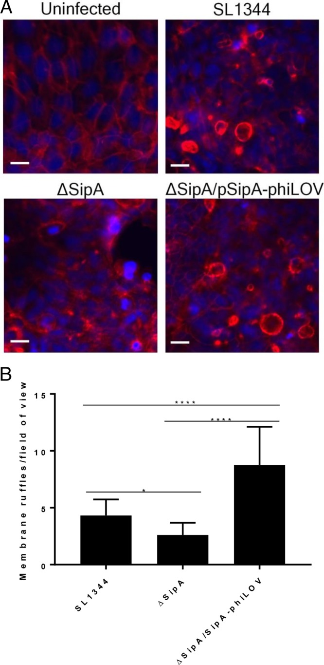 FIG 4