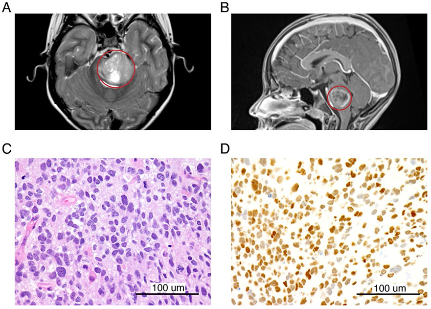 Figure 1: