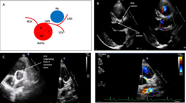 Fig. 3