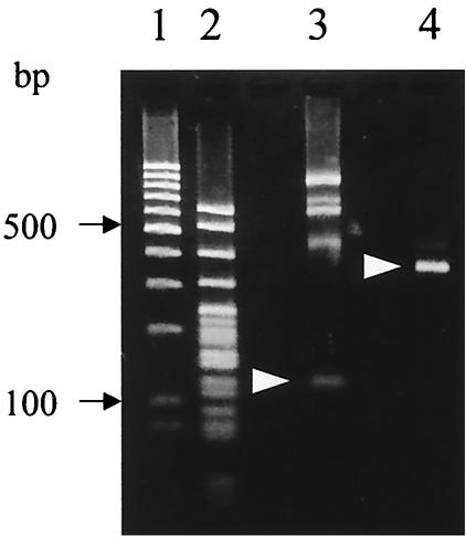 FIG. 7.