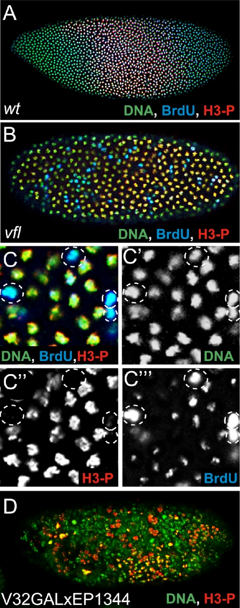 Figure 6.