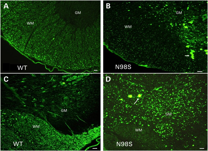 Figure 3.