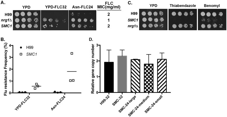 FIG 4