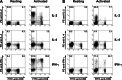 Fig. 3