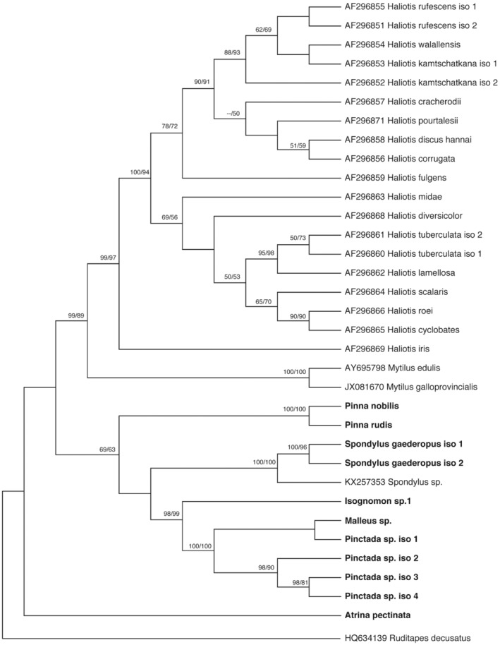 FIGURE 3