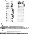 FIG. 5.