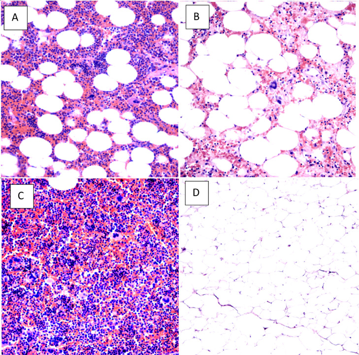 Fig. 3 –