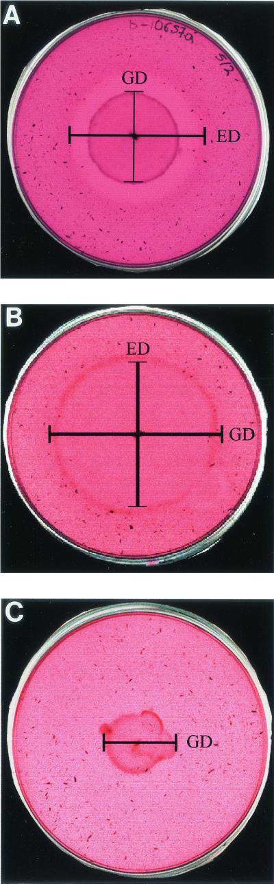 FIG. 1.