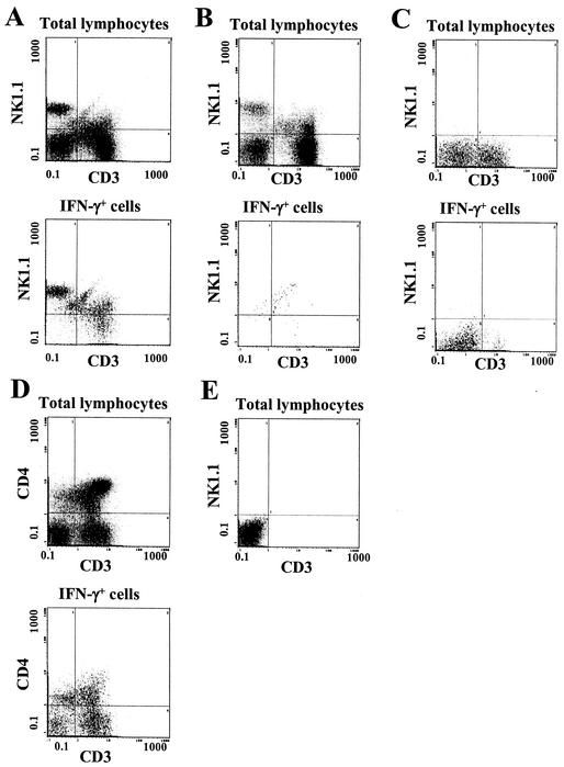 FIG. 3.