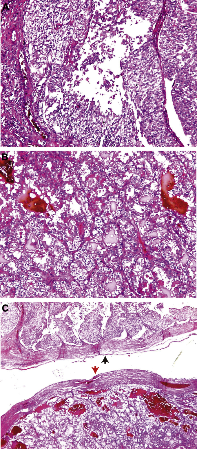 Figure 3