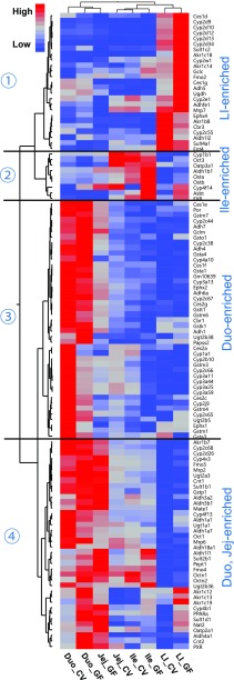 Fig. 1.