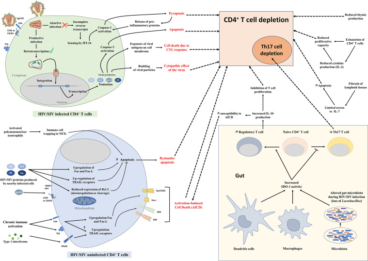 Figure 2