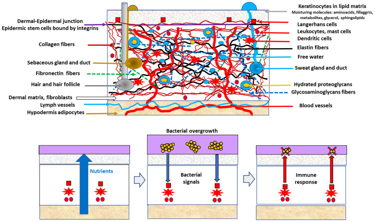 Figure 1