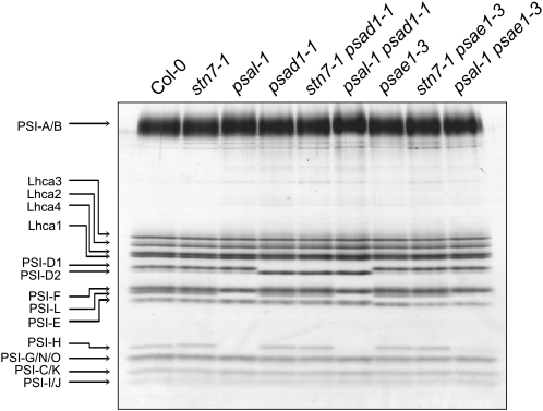 Figure 10.