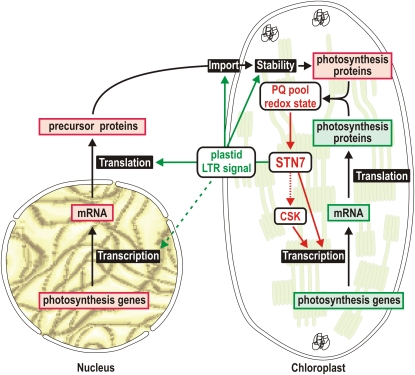 Figure 12.