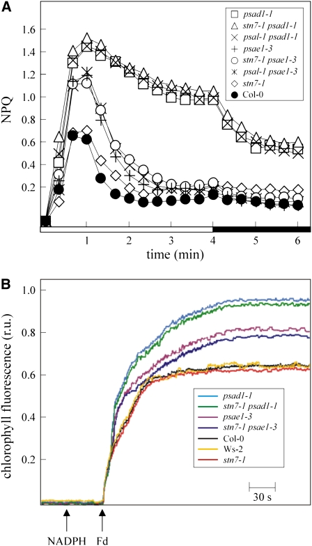 Figure 11.