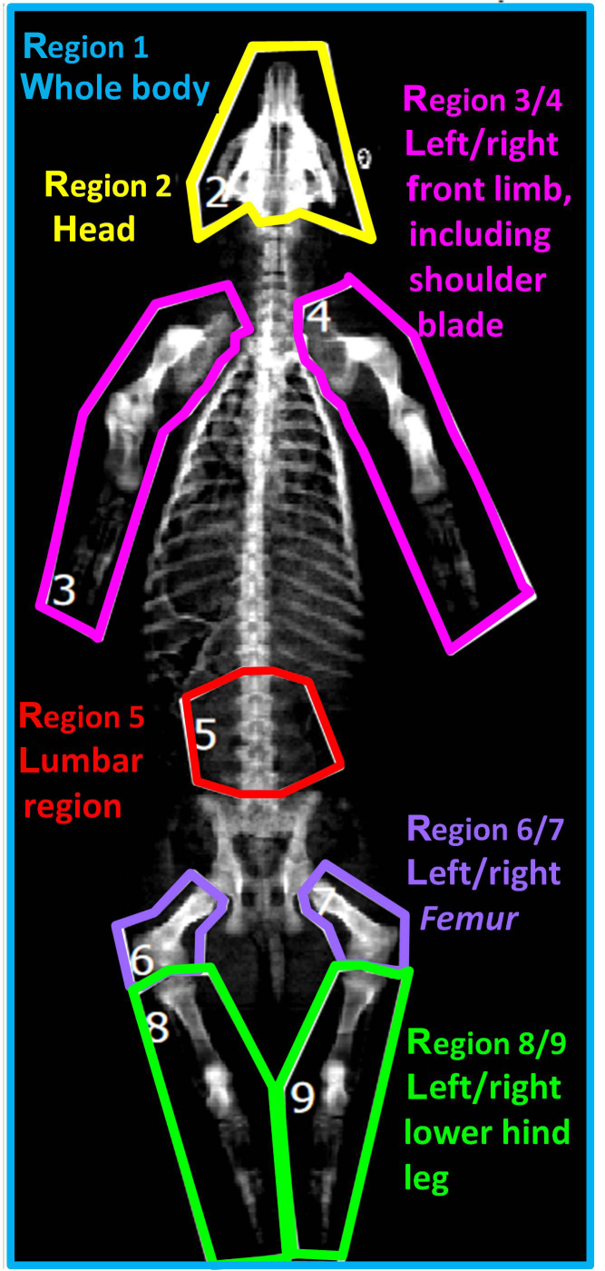 Figure 1