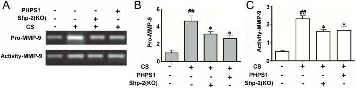 Fig. 5