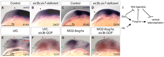 Fig. 8.