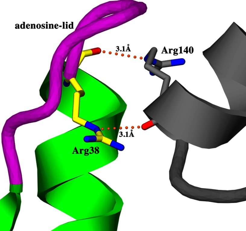 FIGURE 7.