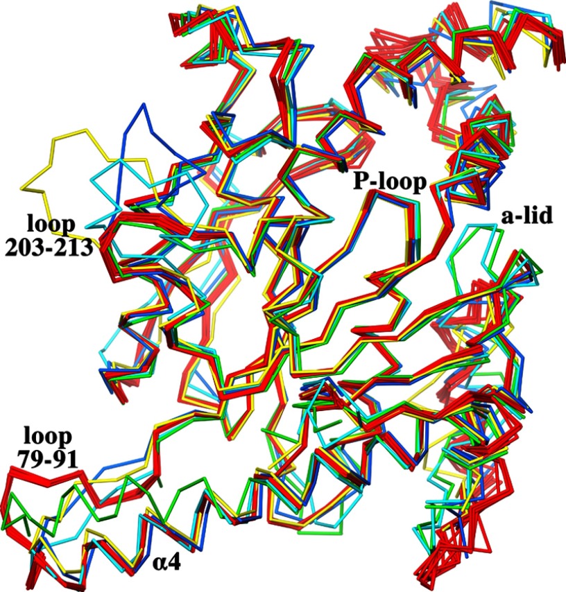 FIGURE 2.