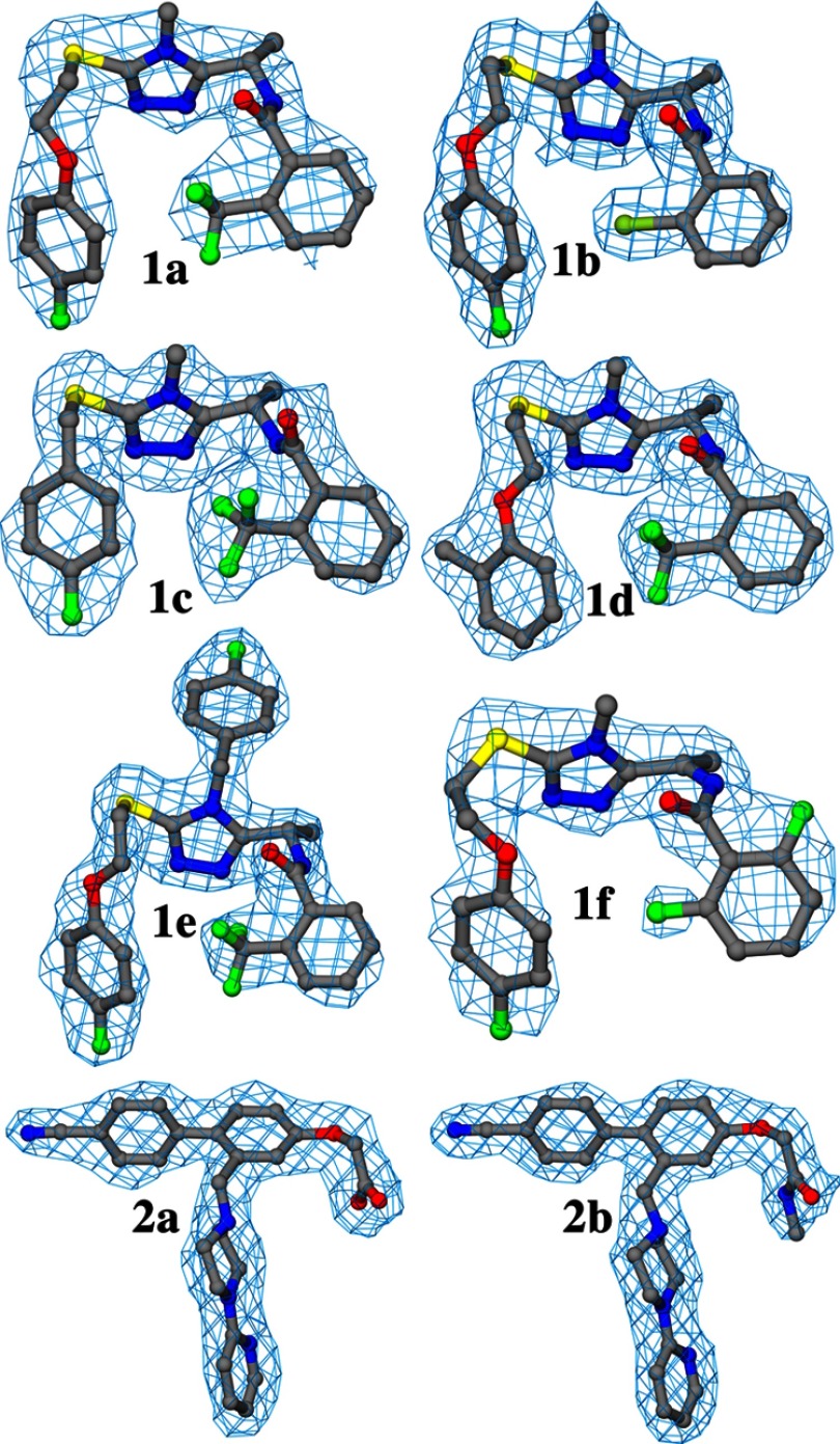 FIGURE 3.