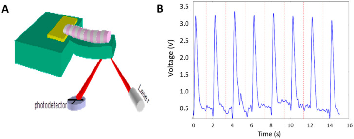 Figure 7