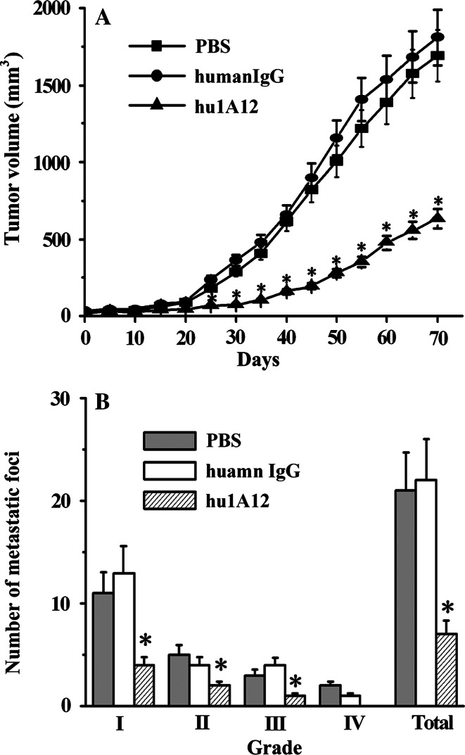 Fig. 6