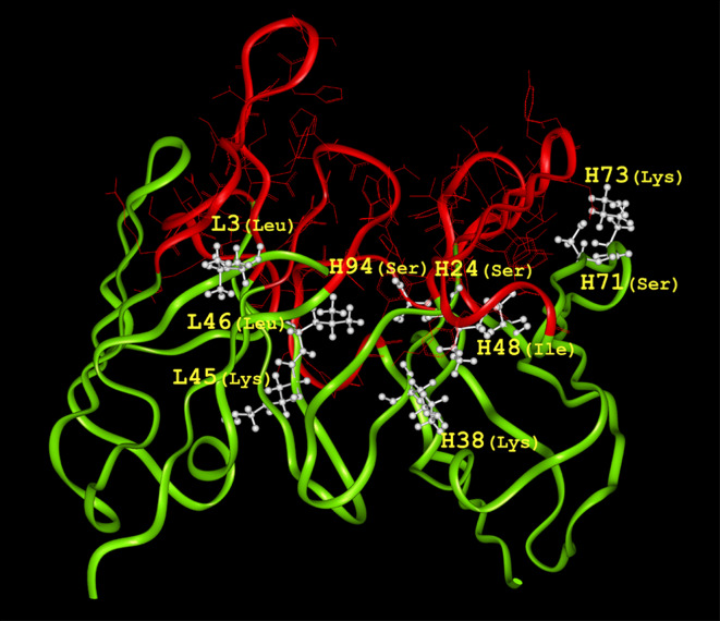 Fig. 2