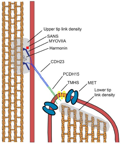 Fig. 2