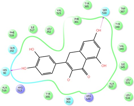 Fig. 4