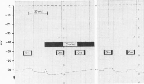 Fig. 15