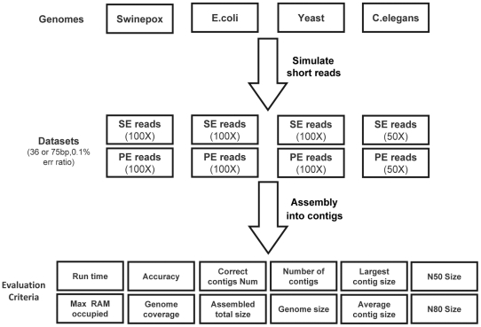 Figure 9