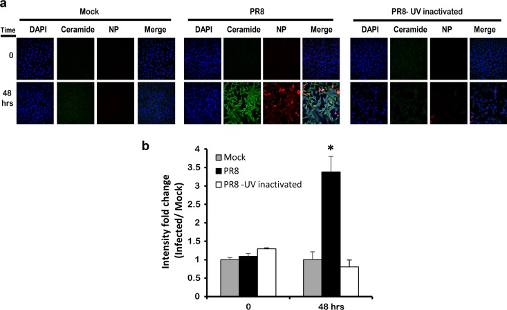 FIG 3