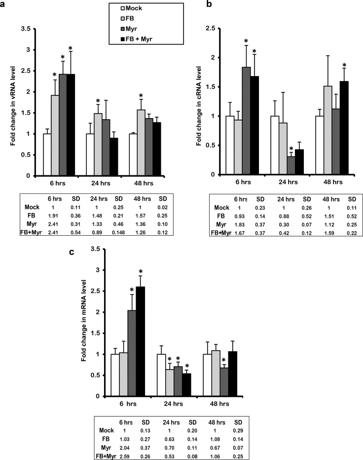 FIG 6