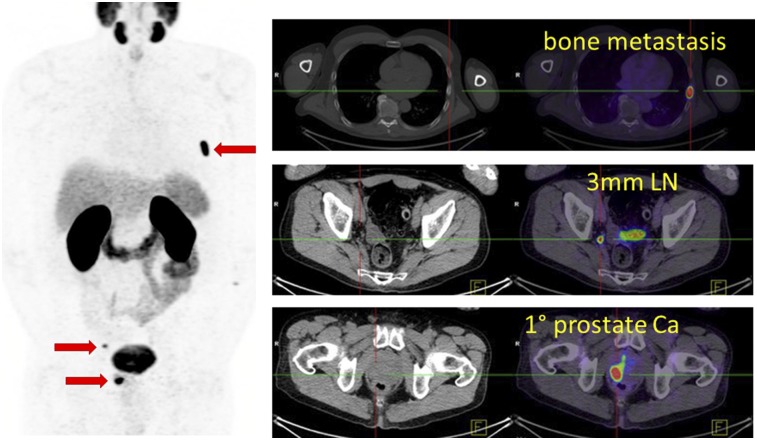 FIGURE 1.